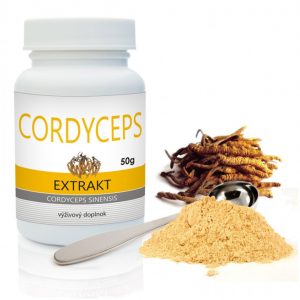 cordyceps-extrakt